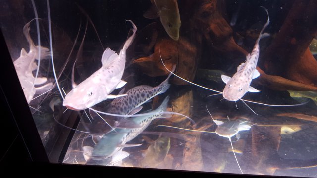 20150914_043246.jpg