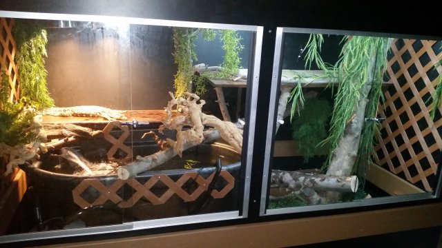 20150701_181415.jpg