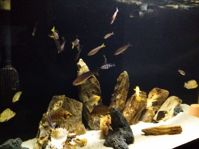 20150602_225932.jpg