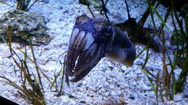 20150901_105418.jpg