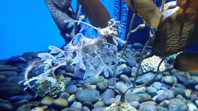 20150901_105220.jpg