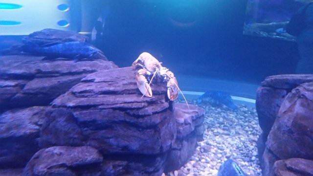 20150901_094039.jpg