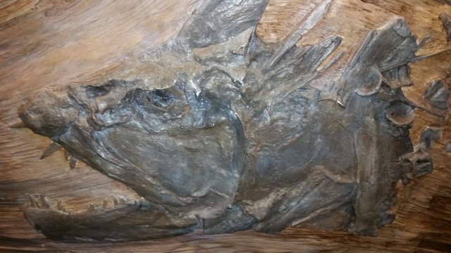 20150901_092859.jpg