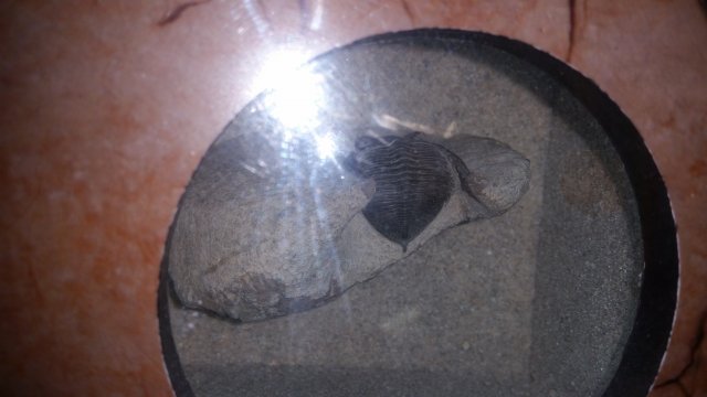20150901_092928.jpg