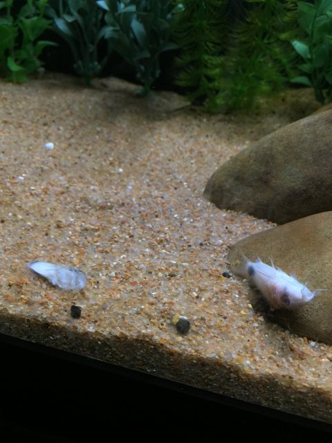 IMG_5560.JPG IMG_5560.JPG