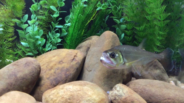 IMG_5562.PNG IMG_5562.PNG