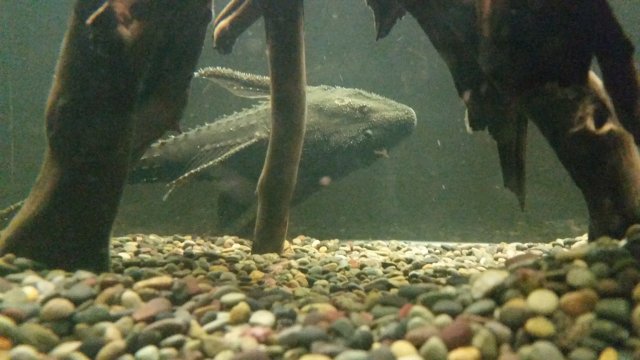 20150921_181903.jpg