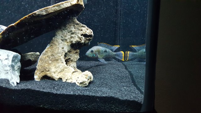 20150921_221834.jpg