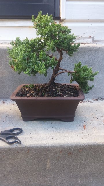 20150923_113741.jpg