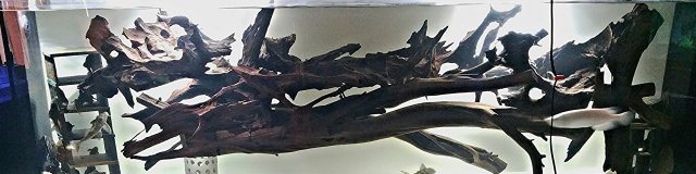 IMG_20150922_160241.jpg