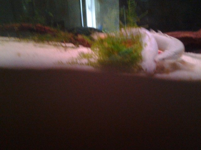 20150925_092416.jpg 20150925_092416.jpg