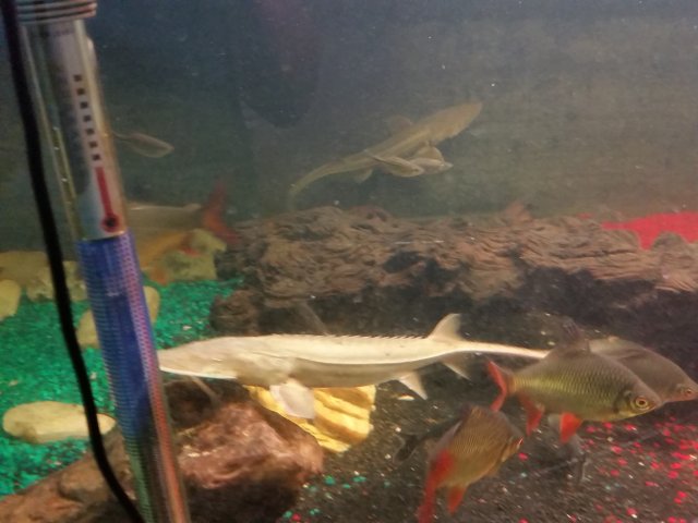 20150722_163358.jpg