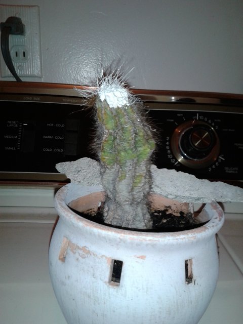20150927_185055.jpg
