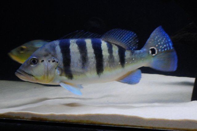 CSC_0740.JPG