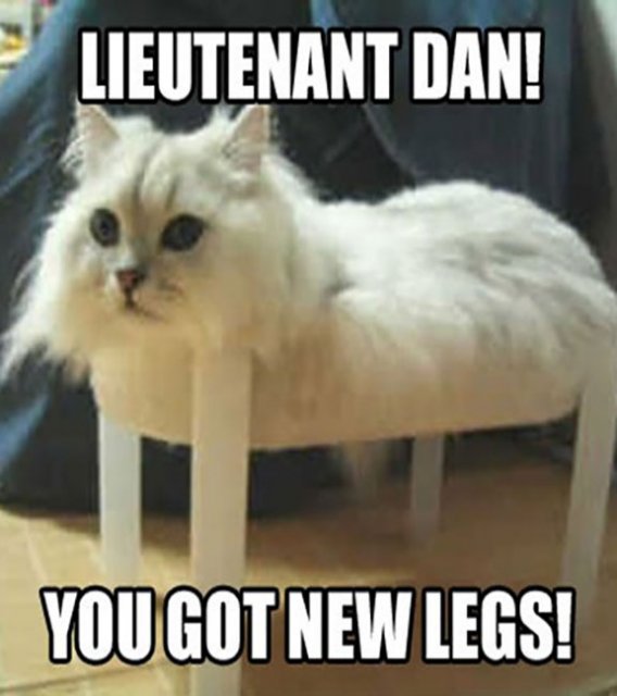 Super-Funny-Animal-Pictures-with-Captions-25.jpg