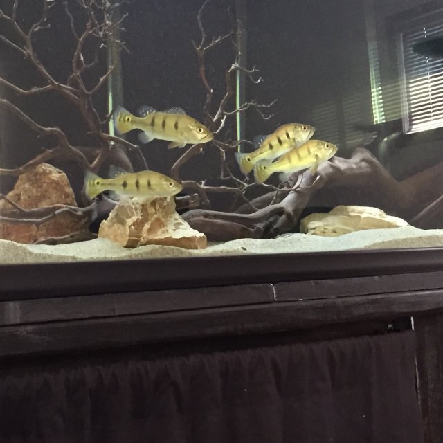 IMG_0709.JPG IMG_0709.JPG