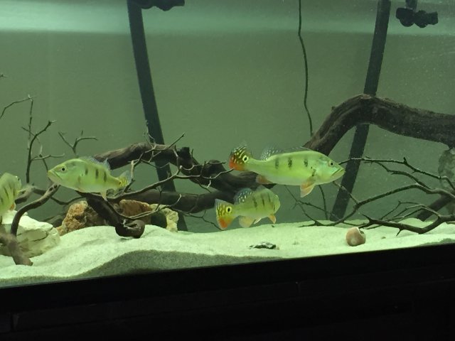 IMG_1036.JPG IMG_1036.JPG