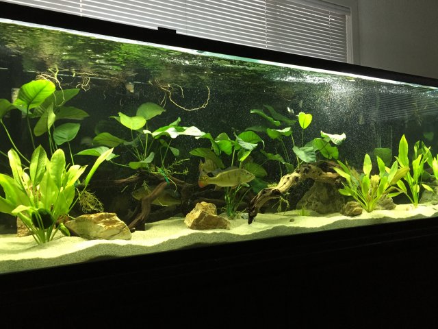 IMG_1114.JPG IMG_1114.JPG