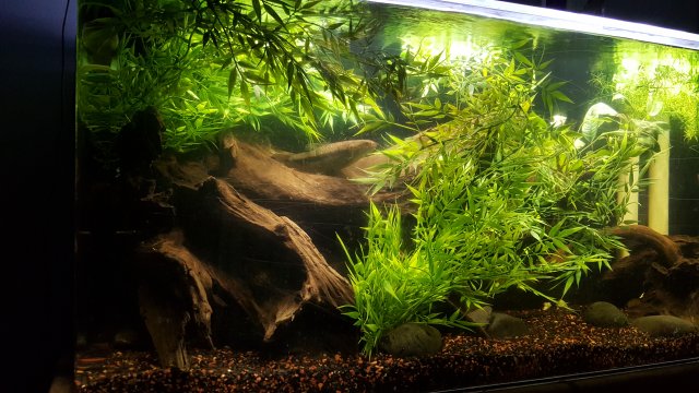20151002_003001.jpg