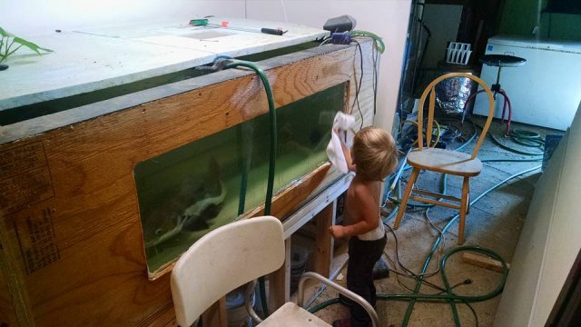 12027534_1031474060217810_6447842430430939517_n.jpg