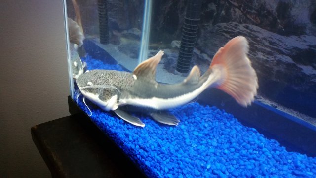 20151002_173453.jpg