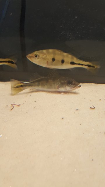 20151004_134622.jpg