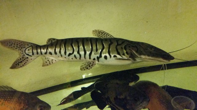 20150602_012257.jpg