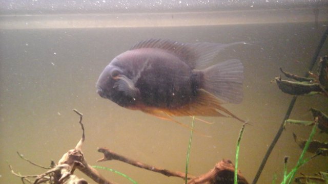 20150919_002614.jpg