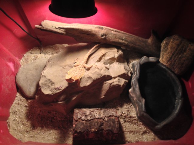 IMG_5586.JPG IMG_5586.JPG