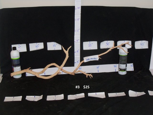 092915.26.03a.jpg