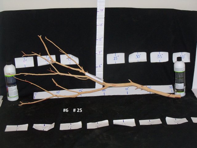 092915.26.06a.jpg