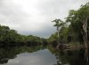 60nature.jpg