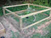 Turtle-Pen.gif