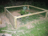 Turtle-Pen2.gif