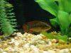 DSC01075.JPG