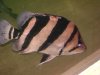 DSC00026.JPG