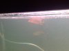 08072007276.jpg