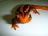 DSC00099.JPG