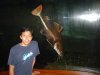 DSC01855.JPG