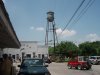 gruene1.JPG