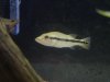 DSC01187.JPG