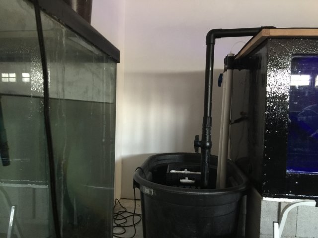 IMG_0506.JPG