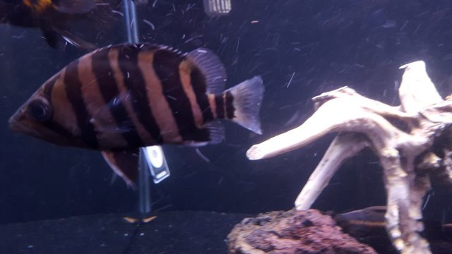 20151012_163010.jpg