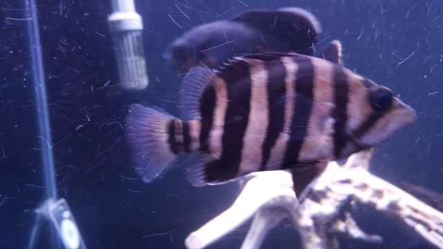 20151012_163022.jpg