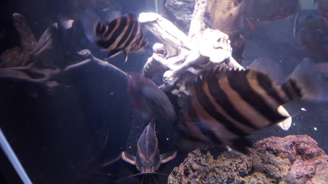 20151012_163105.jpg