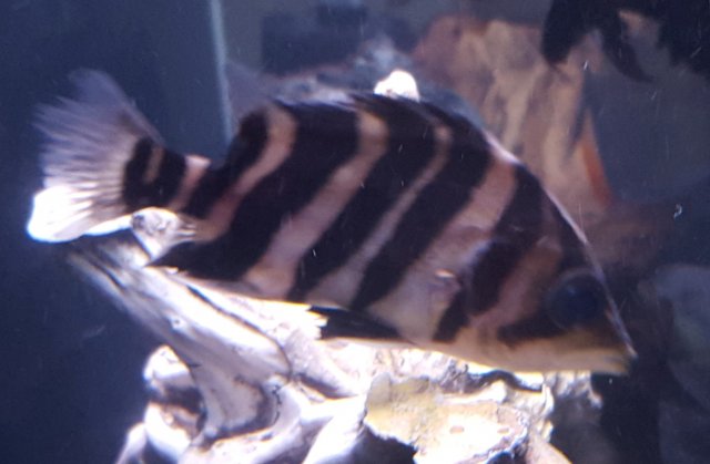 20151012_163108.jpg