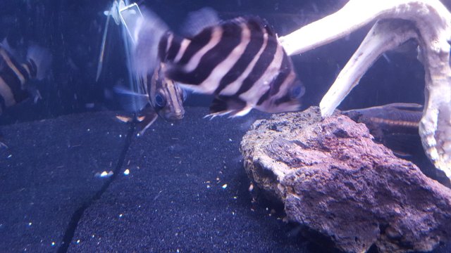 20151012_163122.jpg