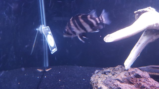 20151012_163135.jpg