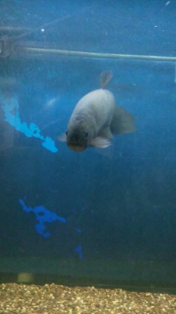 20151010_155146.jpg