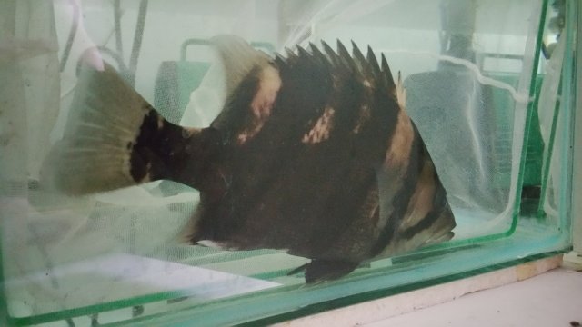 20151014_150532.jpg 20151014_150532.jpg